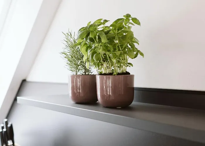 Am Stadtpark - Boardinghouse 公寓式酒店